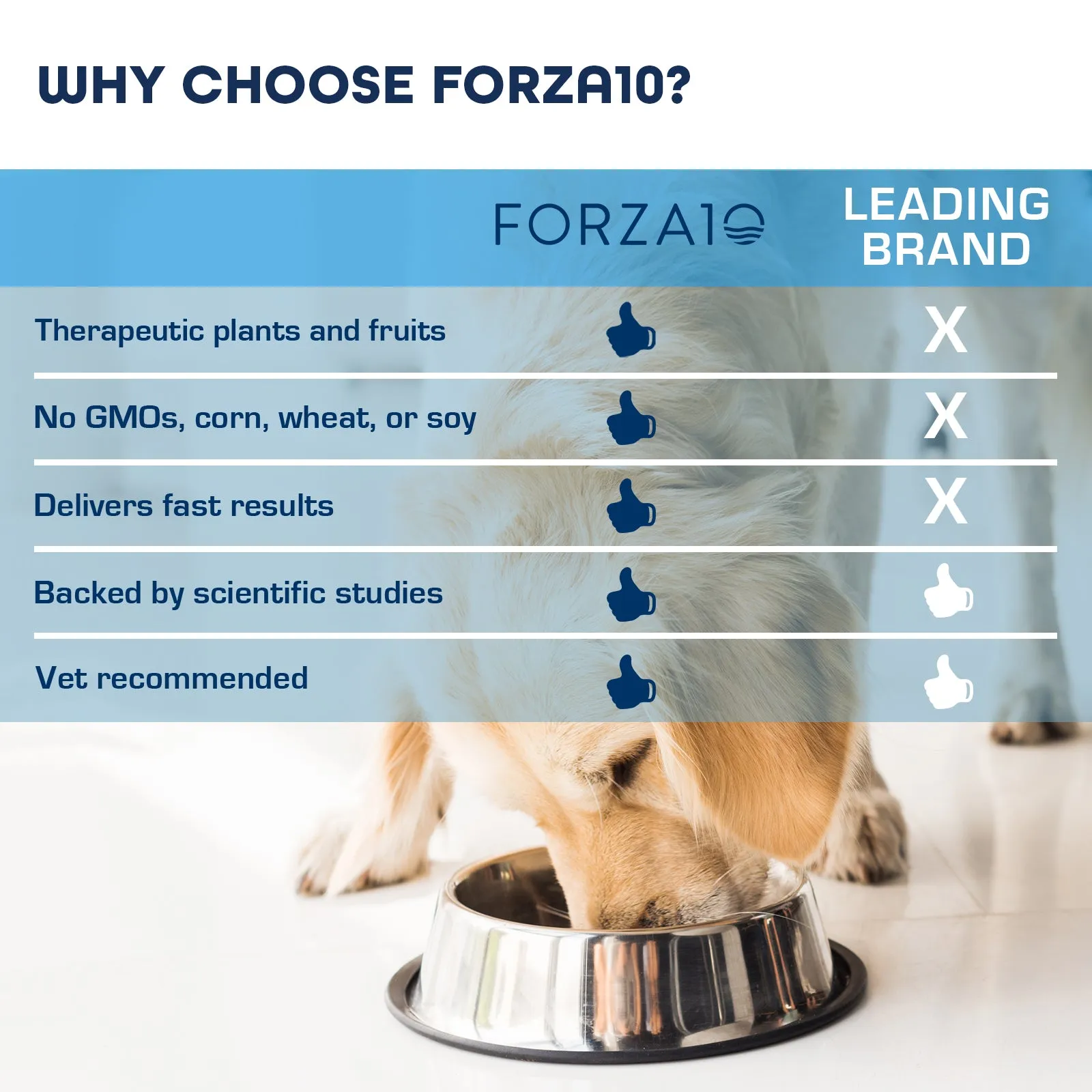 Forza10 Nutraceutic ActiWet Dermo Icelandic Fish Recipe Wet Dog Food